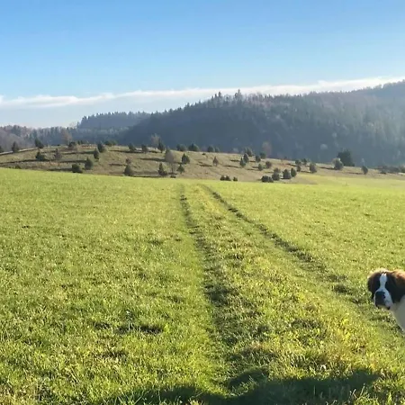 Appartamento Dorfglueck Oberdigisheim Messstetten Esterno foto